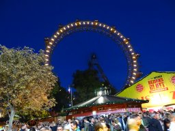 Jungbauernkalender im Wiesbauer Zelt am 9.10.2024 